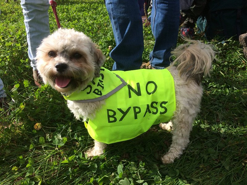 Only four more days to comment on the Arundel Bypasss